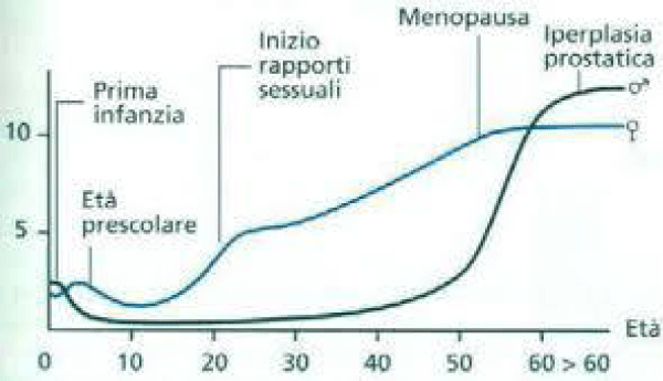 apcr-aid1010-g010